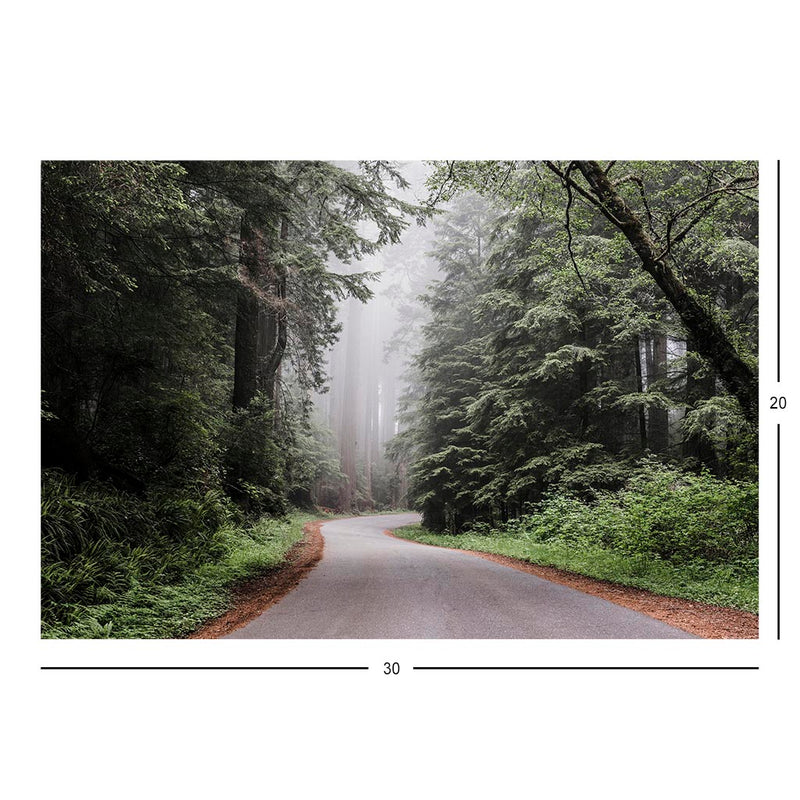 Redwood National Forest Jigsaw Puzzle