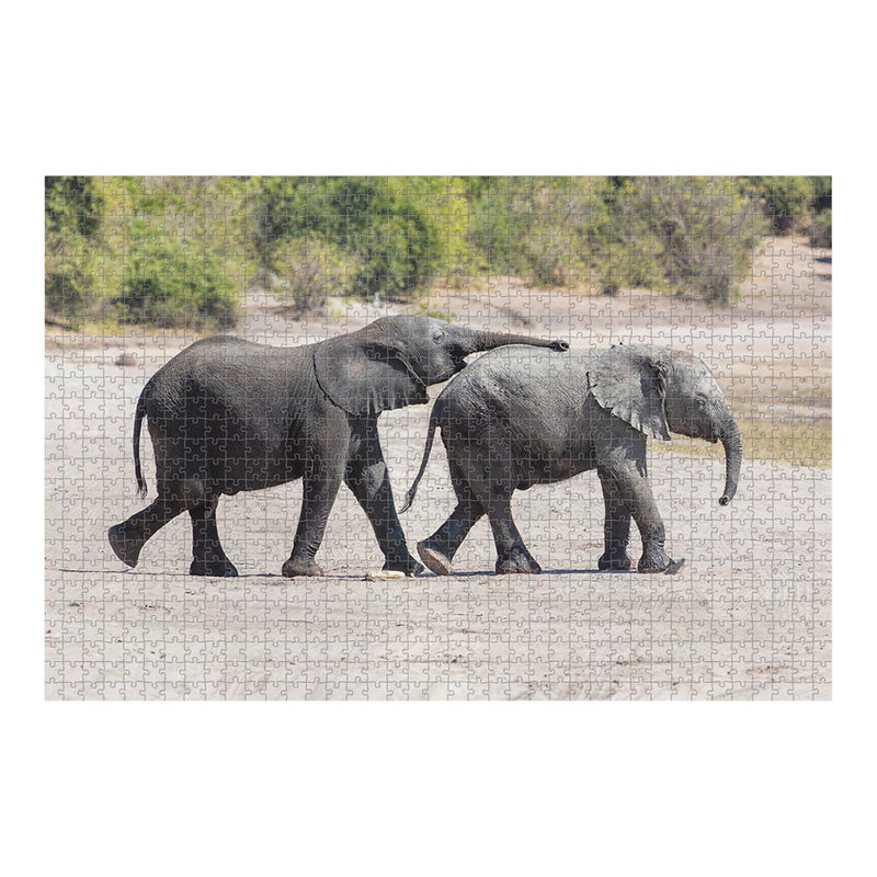 Wikimedia Commons Jigsaw Puzzle of the Day Baby African Bush Elephants