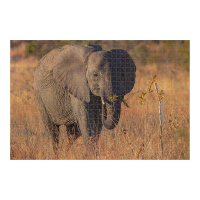 Wikimedia Commons Jigsaw Puzzle Of The Day Baby African Bush Elephant