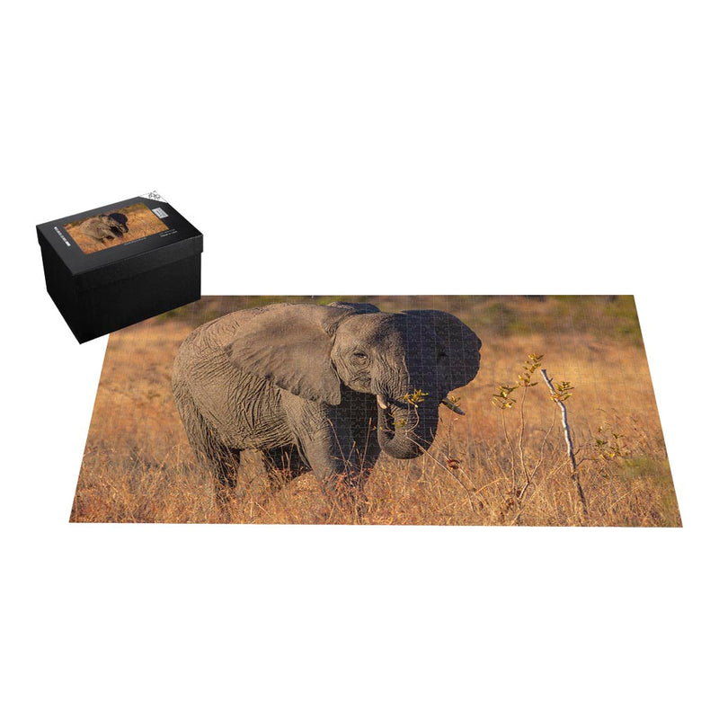 Wikimedia Commons Jigsaw Puzzle Of The Day Baby African Bush Elephant