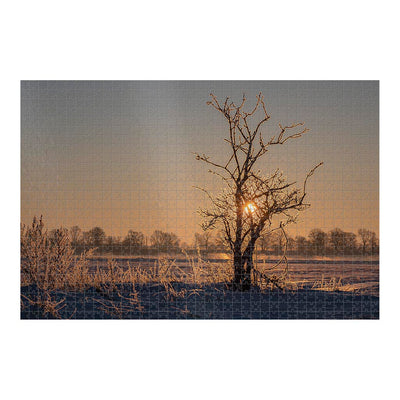 Wikimedia Commons Jigsaw Puzzle of the Day Icy Plants