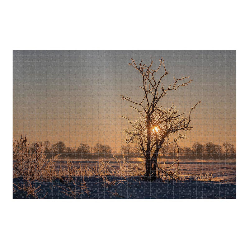Wikimedia Commons Jigsaw Puzzle of the Day Icy Plants