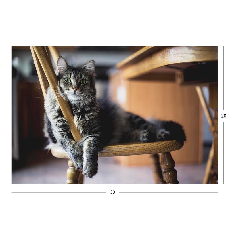 Tabby Cat in the Kitchen Jigsaw Puzzle