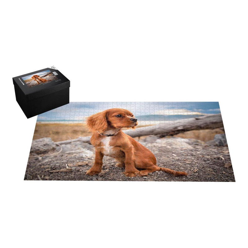 Cocker Spaniel Jigsaw Puzzle with box