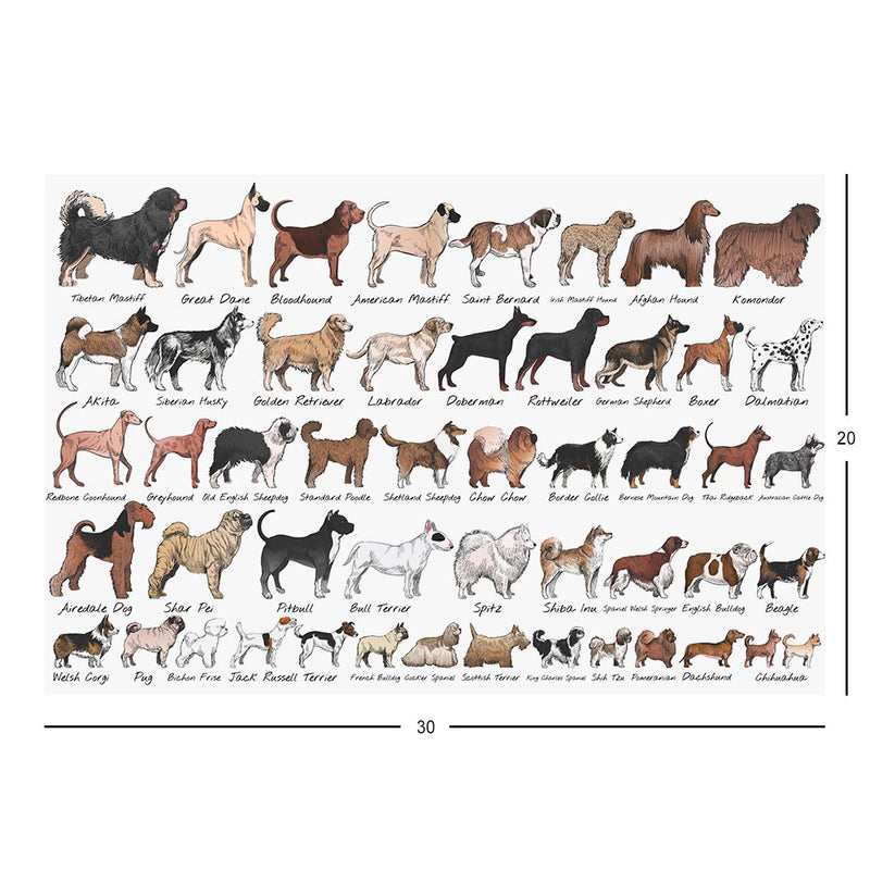 Dog Breeds Jigsaw Puzzle