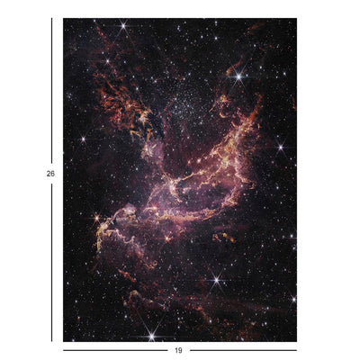 Webb Telescope Uncovers Star Formation In The Small Magellanic Cloud Jigsaw Puzzle