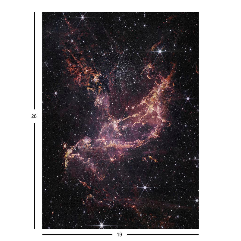 Webb Telescope Uncovers Star Formation In The Small Magellanic Cloud Jigsaw Puzzle