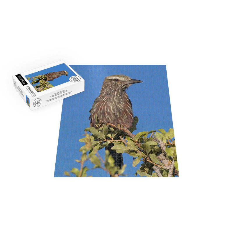 Purple roller in Namibia Jigsaw Puzzle