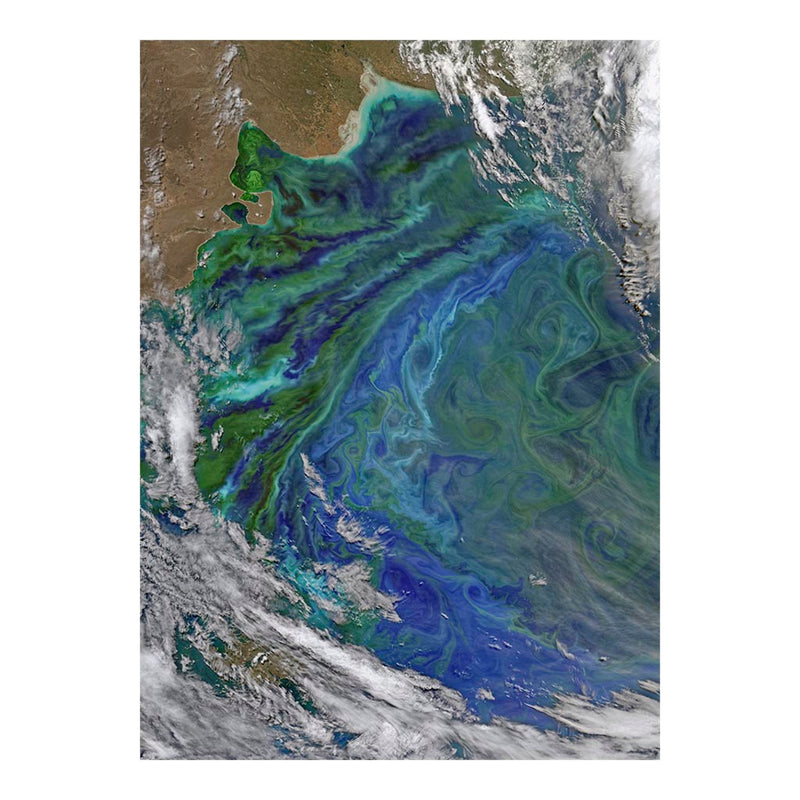 Patagonian Plankton Swirls Jigsaw Puzzle