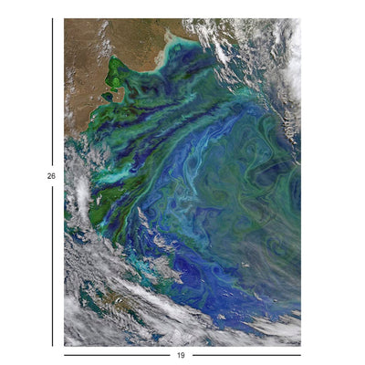 Patagonian Plankton Swirls Jigsaw Puzzle