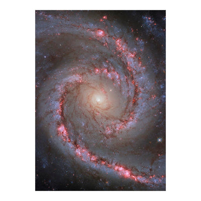 Hubble Telescope Image of Spiral Galaxy NGC 1566 Jigsaw Puzzle