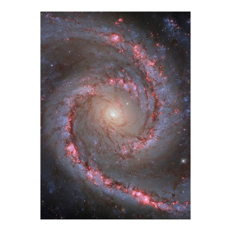 Hubble Telescope Image of Spiral Galaxy NGC 1566 Jigsaw Puzzle