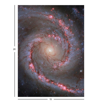 Hubble Telescope Image of Spiral Galaxy NGC 1566 Jigsaw Puzzle
