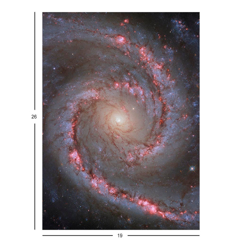 Hubble Telescope Image of Spiral Galaxy NGC 1566 Jigsaw Puzzle
