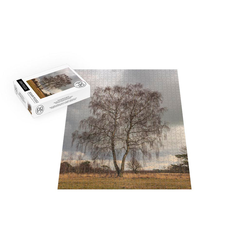 Birch Tree in Delleboersterheide Nature Preserve, Netherlands Jigsaw Puzzle