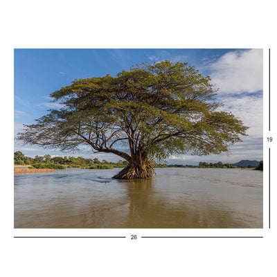 Rain Tree in the Mekong, Don Loppadi, Laos Jigsaw Puzzle