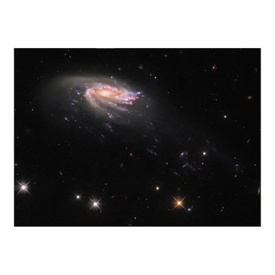 Hubble Telescope Image of the Jellyfish Galaxy JO206 Jigsaw Puzzle