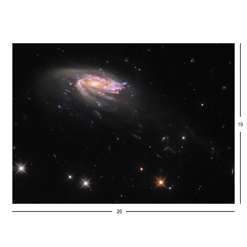 Hubble Telescope Image of the Jellyfish Galaxy JO206 Jigsaw Puzzle