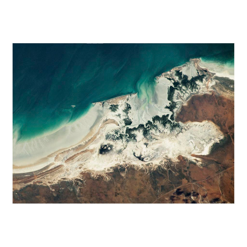 ISS Photograph of Mangroves on Eighty Mile Beach Australia Jigsaw Puzzle