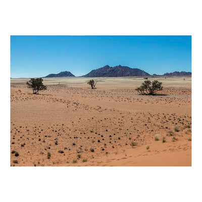 Desertic landscape near Elim Dune, Namibia Jigsaw Puzzle