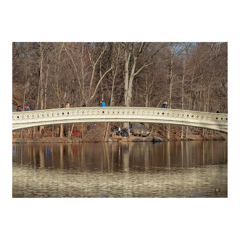 Bow Bridge in Central Park, New York City Jigsaw Puzzle