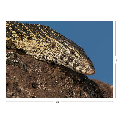 Nile Monitor Lizard, Kenya Jigsaw Puzzle
