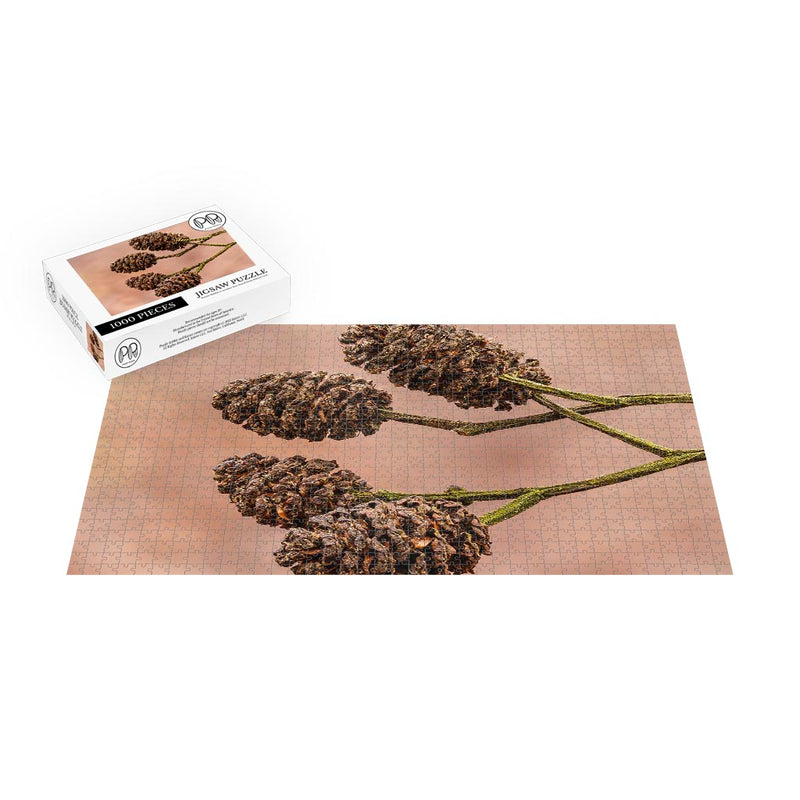 Mature Alder Cones Jigsaw Puzzle