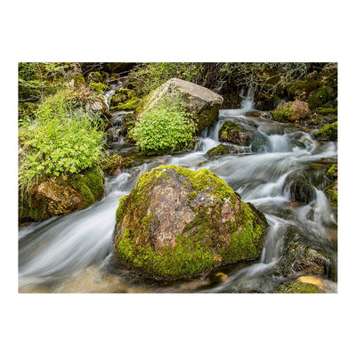 A View of the Rosoki River, Macedonia Jigsaw Puzzle