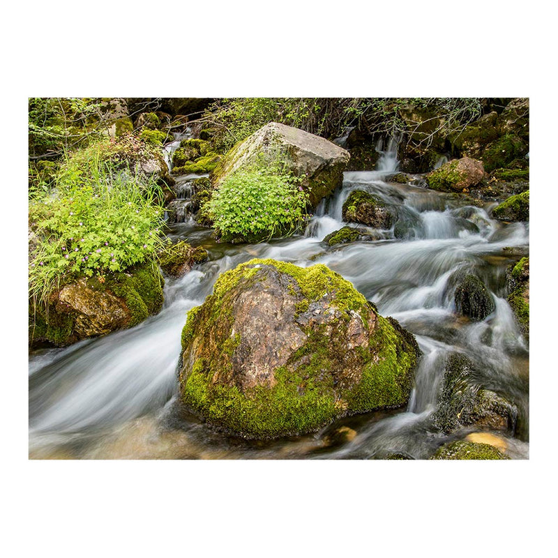 A View of the Rosoki River, Macedonia Jigsaw Puzzle