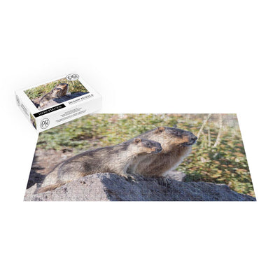 Black-capped Marmots, South Kamchatka Nature Park, Russia Jigsaw Puzzle