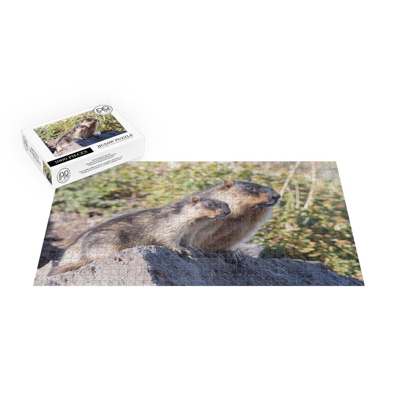 Black-capped Marmots, South Kamchatka Nature Park, Russia Jigsaw Puzzle