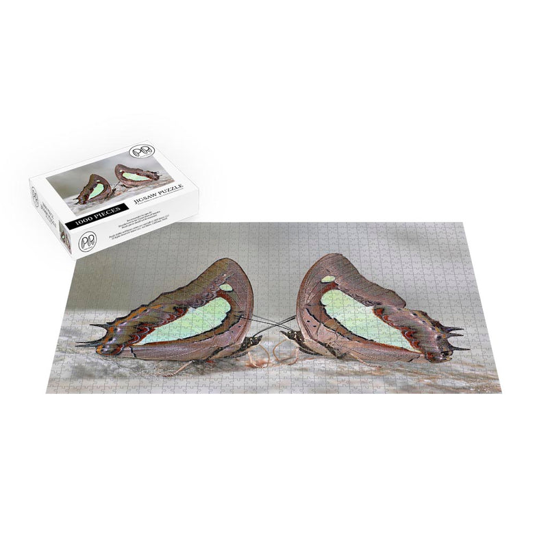 Charaxes bharata Jigsaw Puzzle