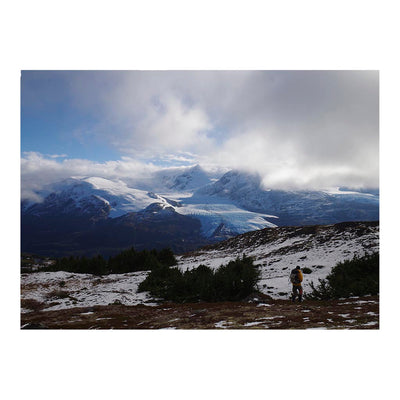 View South from Wolverine Glacier, Alaska Jigsaw Puzzle