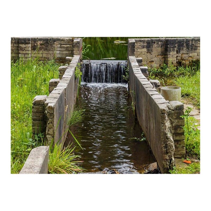 Waterloopbos, Cooling Water Pond Jigsaw Puzzle