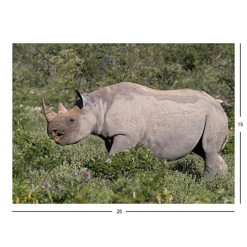 South-western Black Rhinoceros, Etosha National Park, Namibia Jigsaw Puzzle