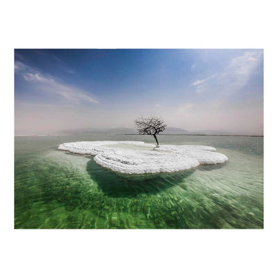 Dead Tree in Sea of Life By Amiram Dora Jigsaw Puzzle