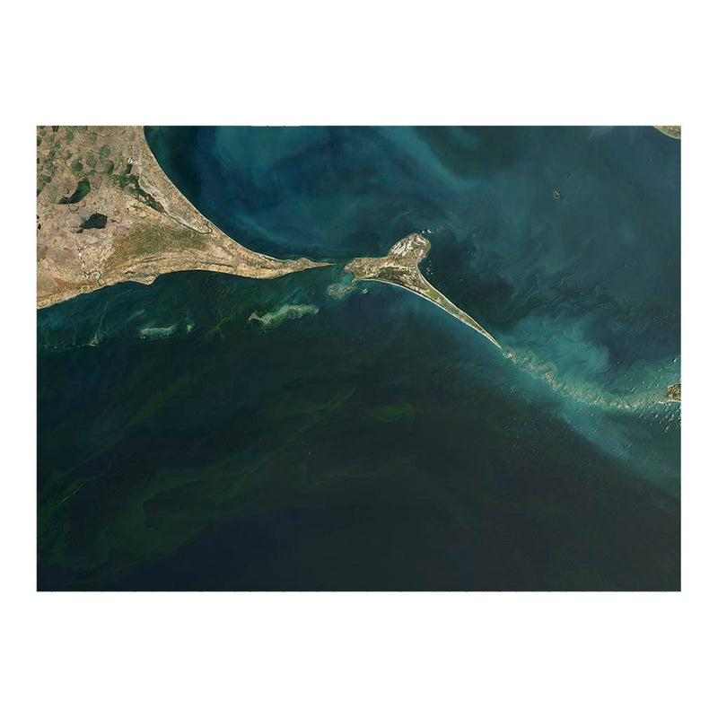 ISS Photograph of Noctiluca scintillans in the Gulf of Mannar, Sri Lanka Jigsaw Puzzle