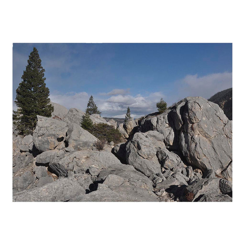 Silver Gate Landslide Complex in Yellowstone National Park Jigsaw Puzzle
