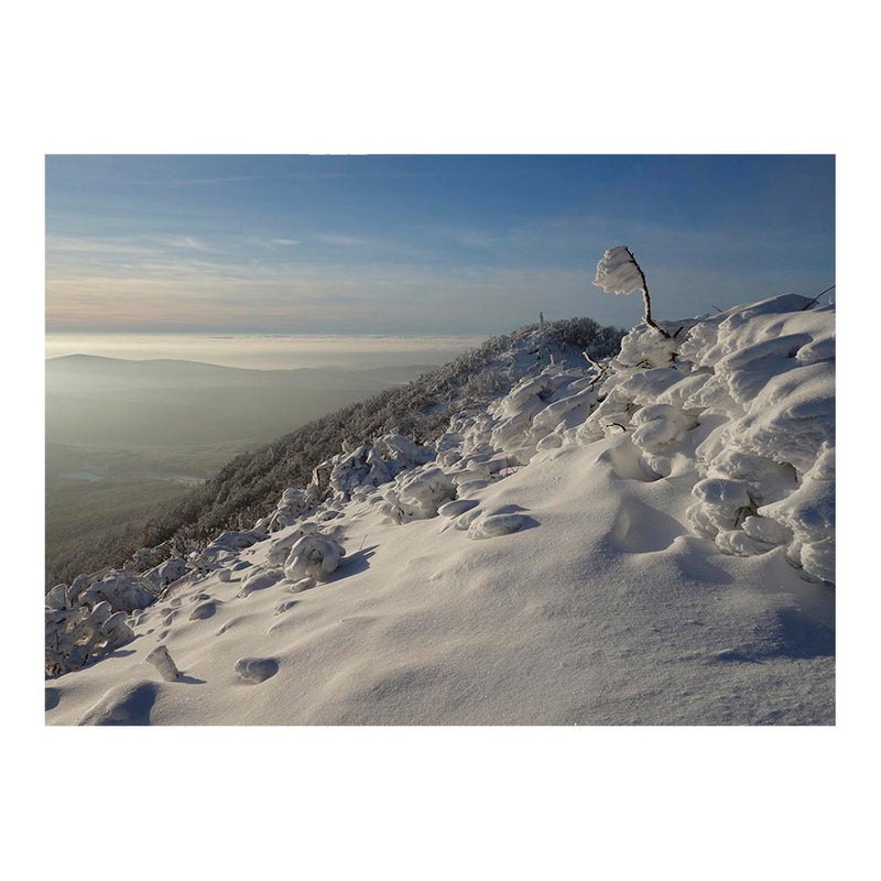 Winter on Vihorlat Mountain, Slovakia Jigsaw Puzzle