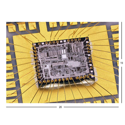 Integrated Circuit Motorola GM350 Transceiver Jigsaw Puzzle