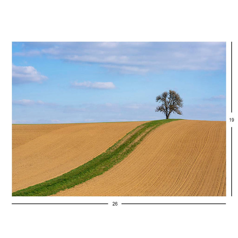 Lonely Pear Tree, Herbolzheim, Neudenau, Germany Jigsaw Puzzle