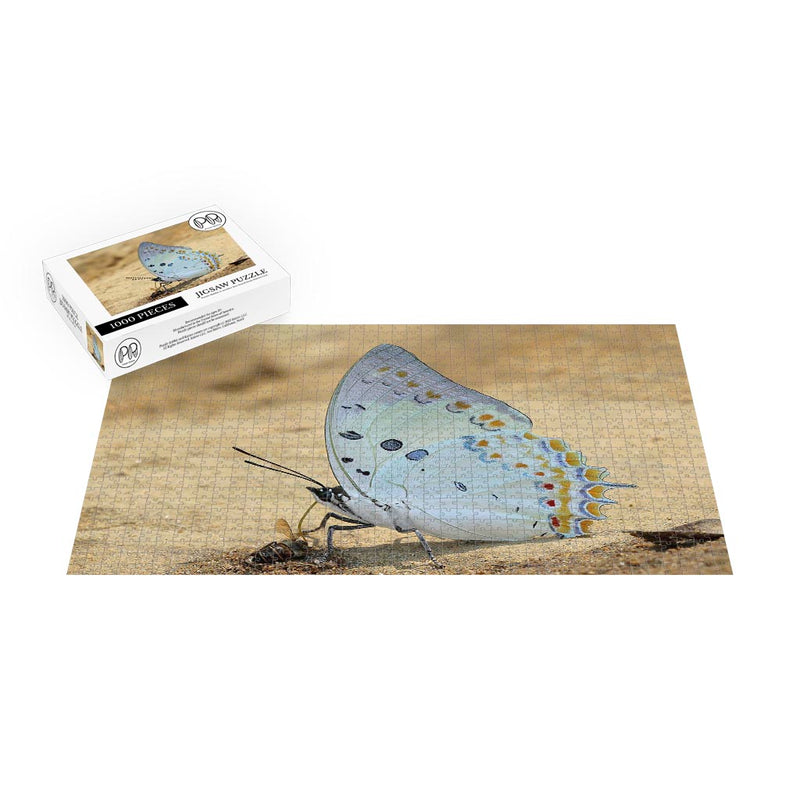 Charaxes delphis Jigsaw Puzzle