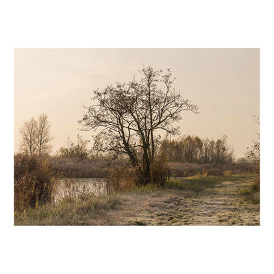 Nationaal Park De Oude Venen in Friesland, The Netherlands Jigsaw Puzzle