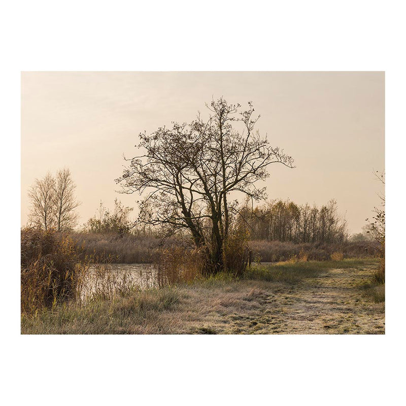 Nationaal Park De Oude Venen in Friesland, The Netherlands Jigsaw Puzzle