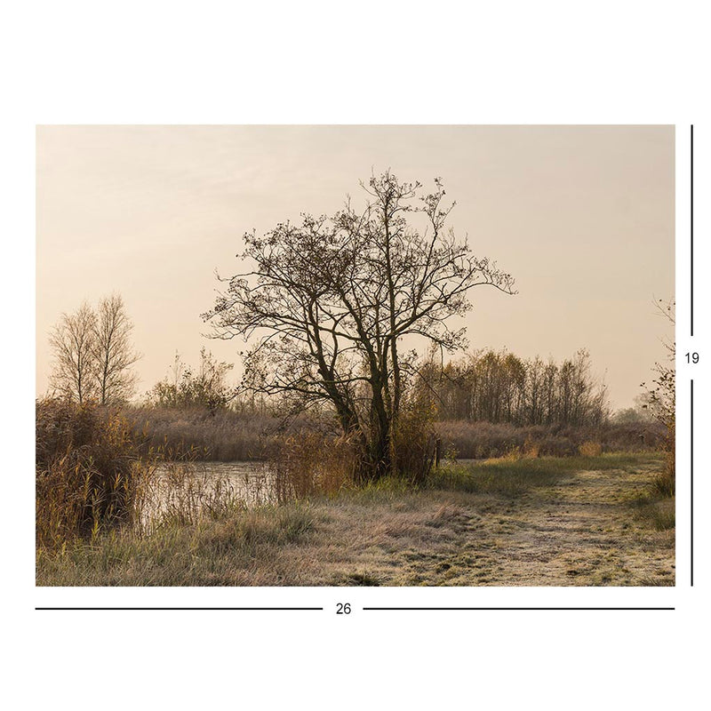 Nationaal Park De Oude Venen in Friesland, The Netherlands Jigsaw Puzzle