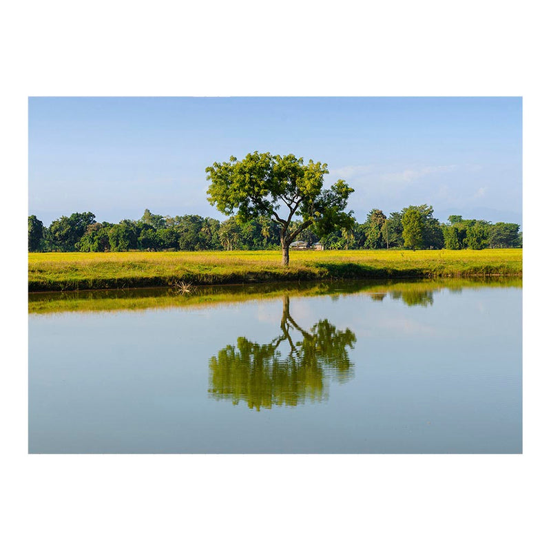 Bakain Tree, Inaruwa, Nepal Jigsaw Puzzle