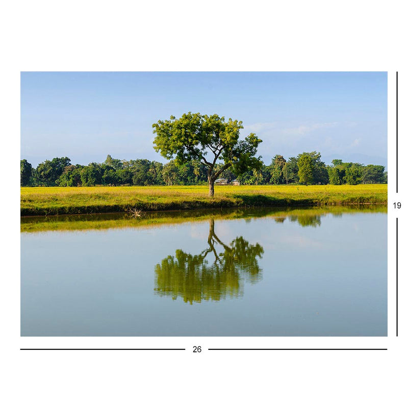 Bakain Tree, Inaruwa, Nepal Jigsaw Puzzle