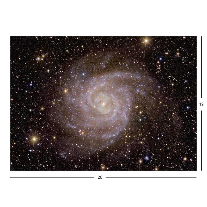Euclid Spots a Spiral Galaxy (IC 342) Jigsaw Puzzle