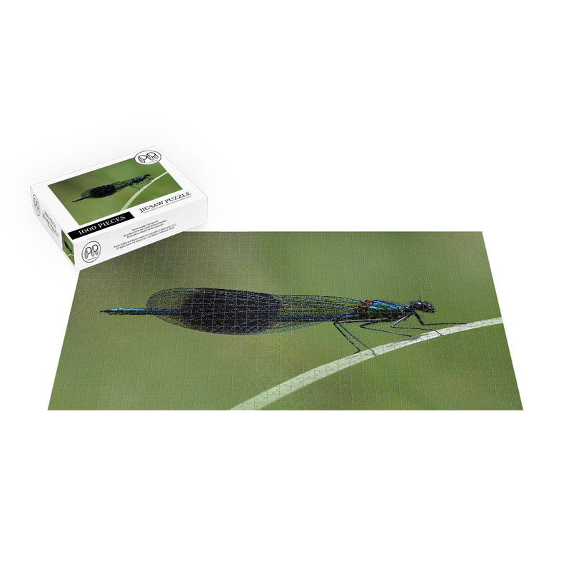 Banded Demoiselle Jigsaw Puzzle