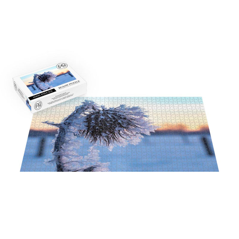 Ice crystals on a Thistle in North Rhine-Westphalia, Germany Jigsaw Puzzle